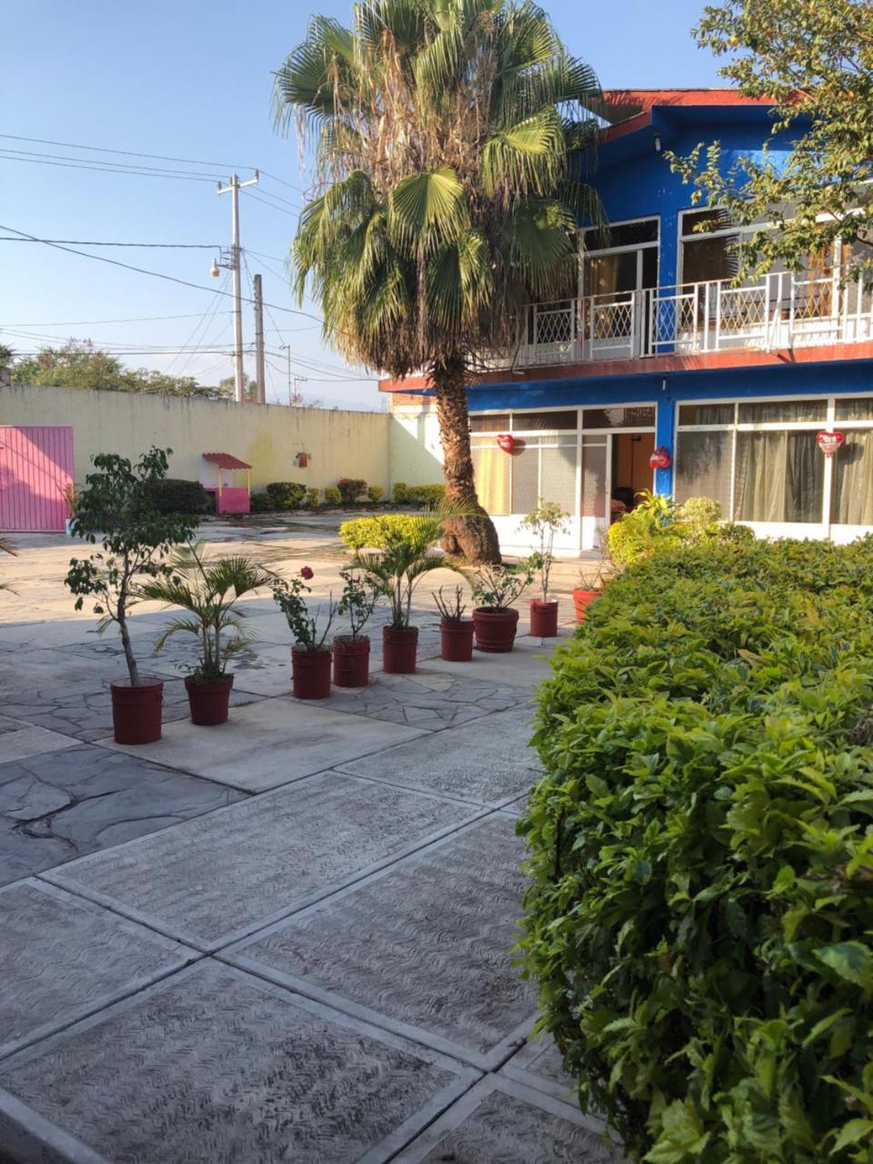 HOTEL VILLA FLORIDA CUAUTLA (MORELOS) (México) - desde 404 MXN | BOOKED